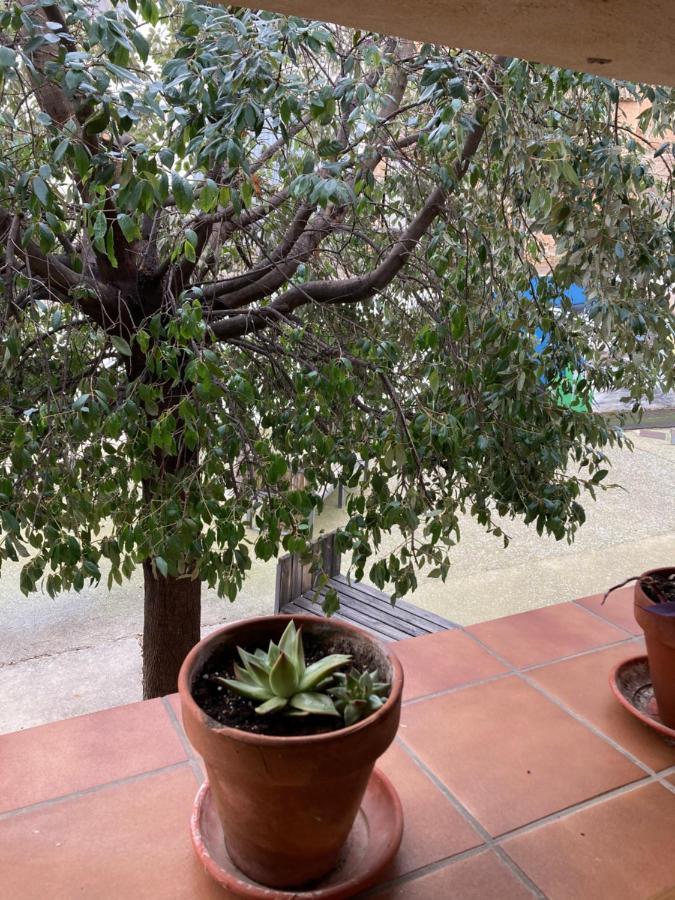 Casa Rural Hospital De Las Palabras Торельяс Экстерьер фото