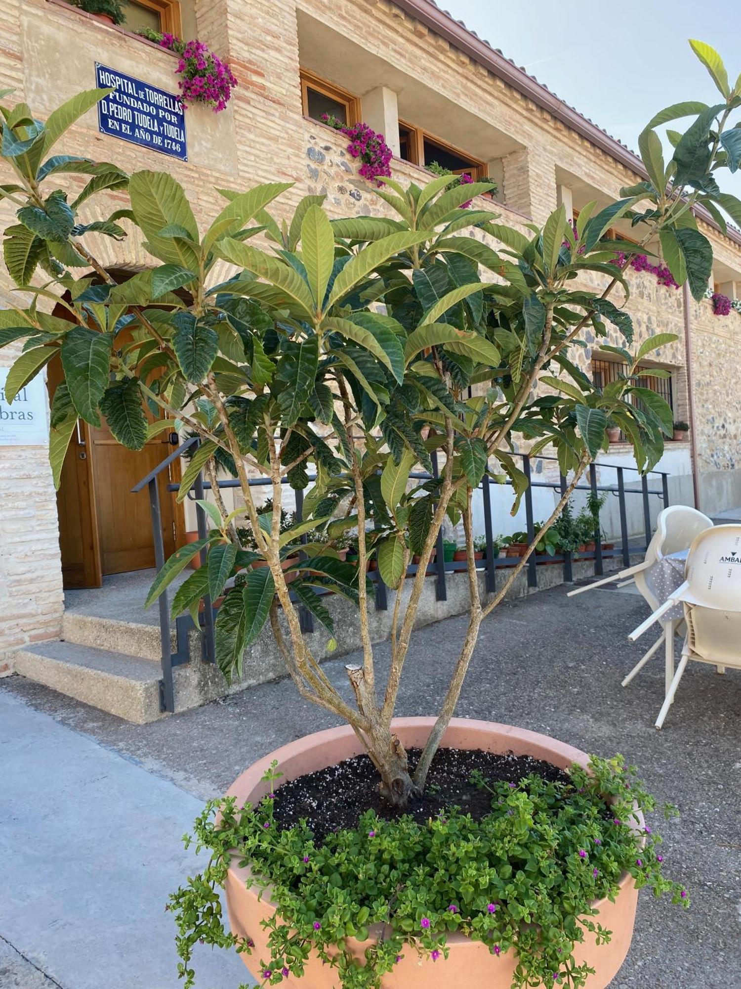 Casa Rural Hospital De Las Palabras Торельяс Экстерьер фото